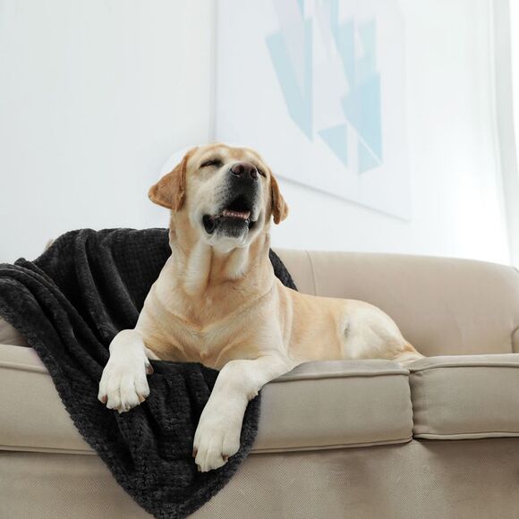 Flannel Fleece Bed Blankets Microfiber 330GSM Pet (30"x40") Black - Picture 2 of 6